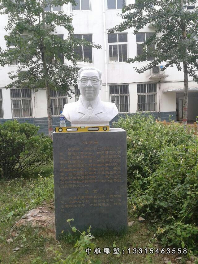华罗庚石雕，校园名人胸像石雕