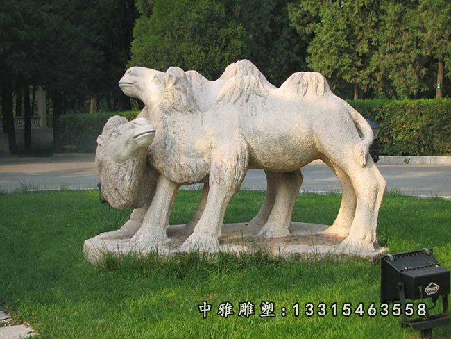 骆驼石雕，公园骆驼石雕 (2)
