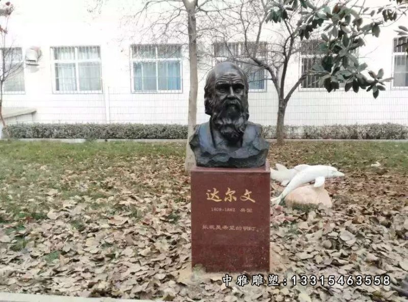 校园西方名人头像达尔文头像铜雕