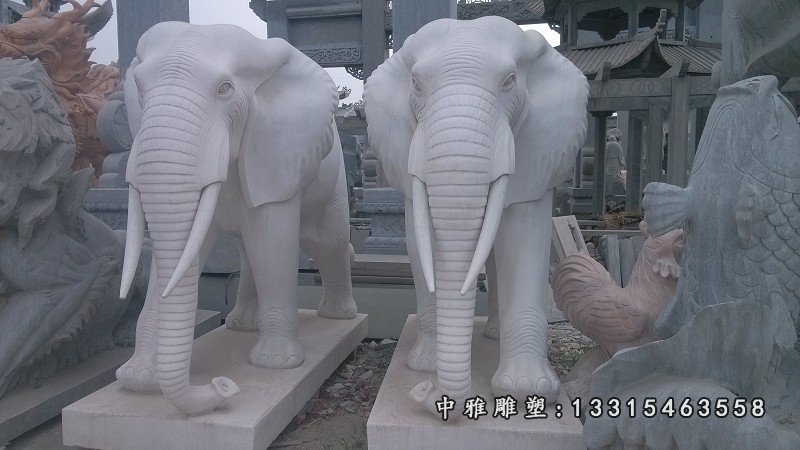 大象石雕，汉白玉大象雕塑，动物石雕
