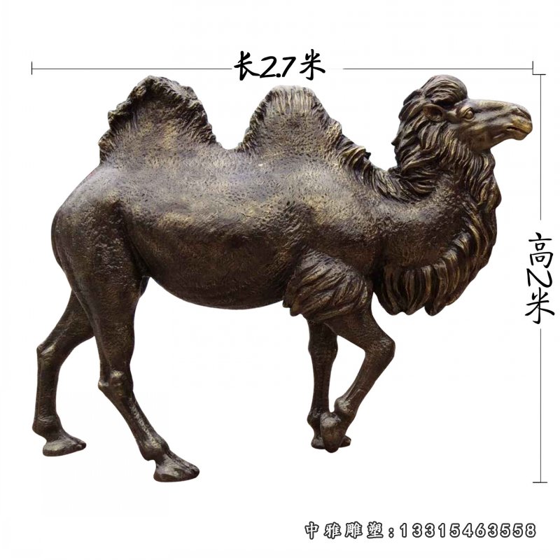 公园动物铜雕骆驼 (1)