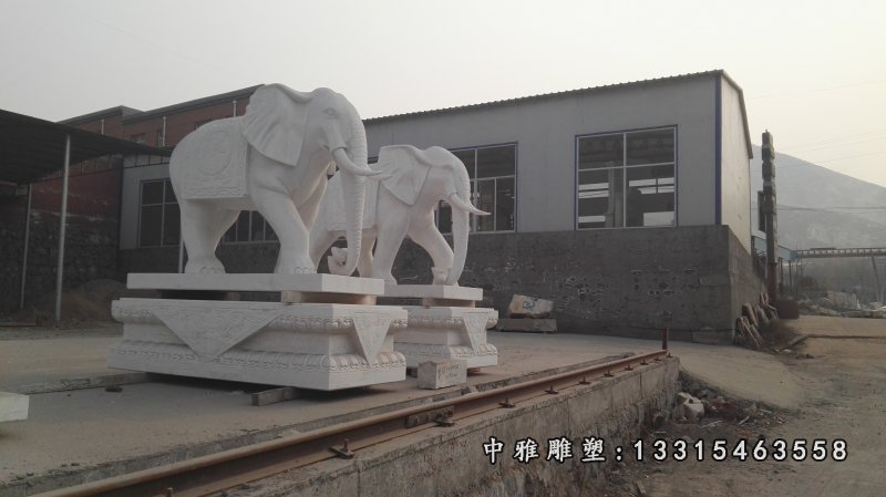 石头大象雕塑,汉白玉石雕大象 (5)