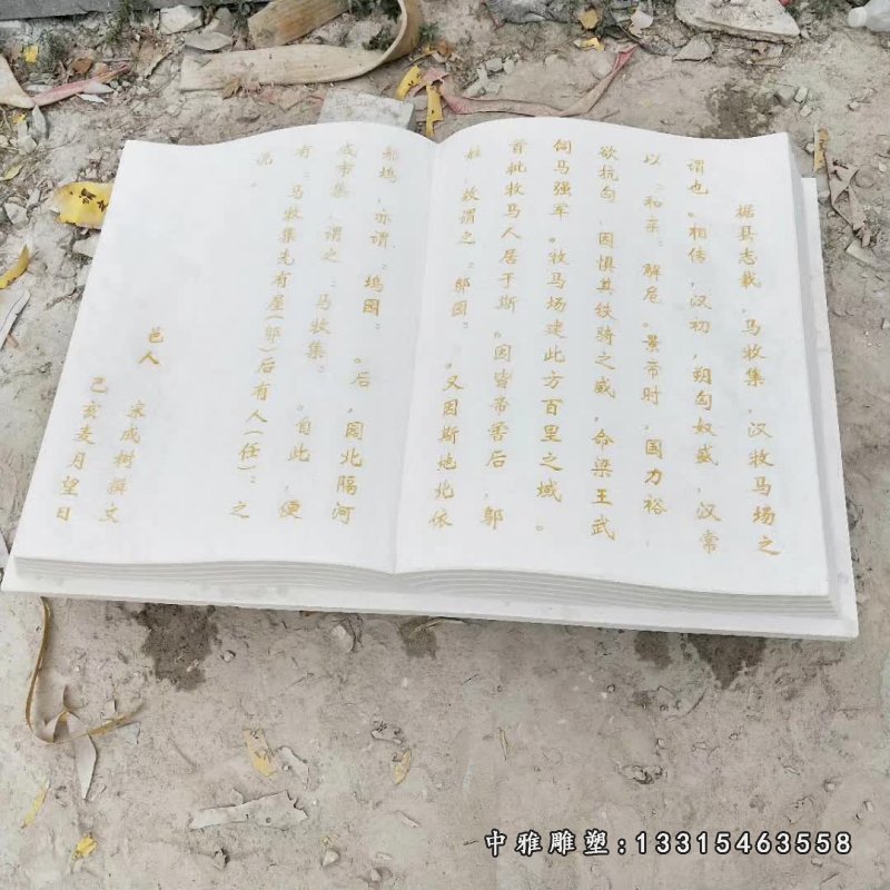 汉白玉地方简介书籍 (1)