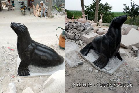 石雕动物海豹
