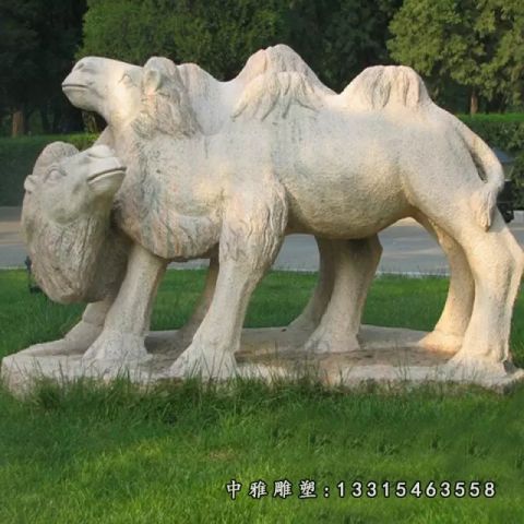沙漠石雕骆驼