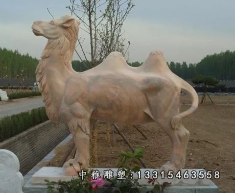 沙漠石雕骆驼雕塑
