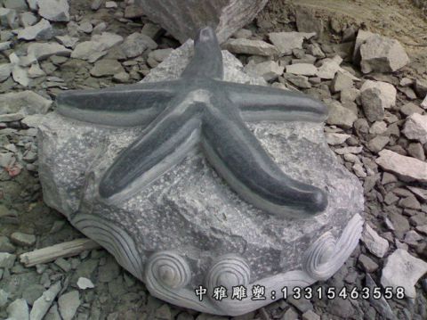 石雕海星动物