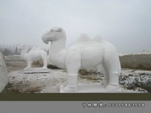 动物石雕骆驼
