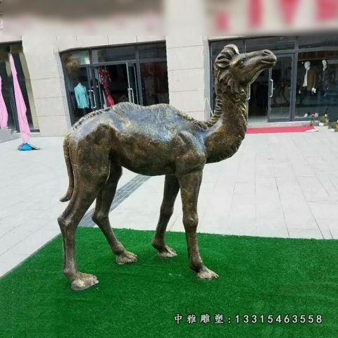 沙漠铜雕动物骆驼