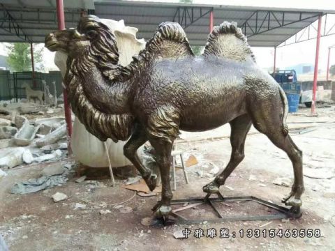 铜雕公园骆驼