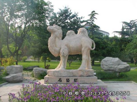 广场石雕骆驼