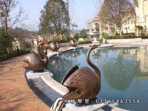 小区铜雕喷水天鹅