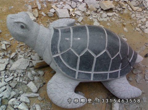 广场石雕动物乌龟