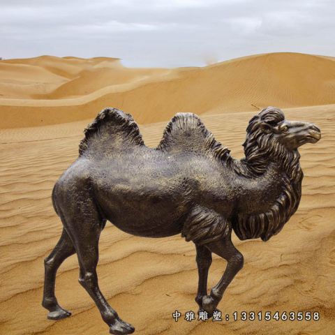 铜雕沙漠动物骆驼